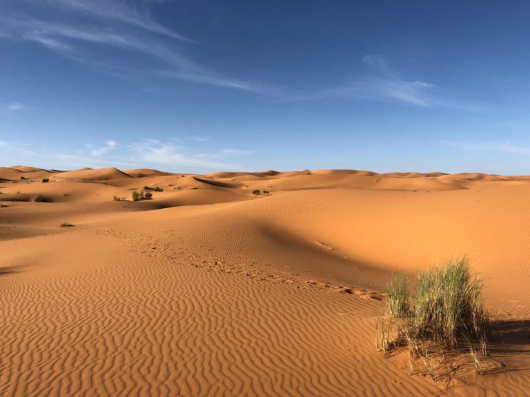 The Great Sahara Desert: A Journey Through Morocco’s Vast and Diverse Landscape